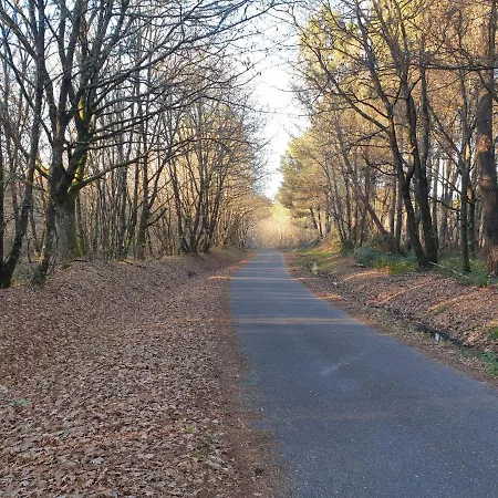 乡村民宿 Rectoral Santa Baia *